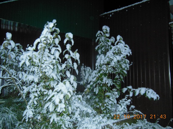 DSCN6679.JPG