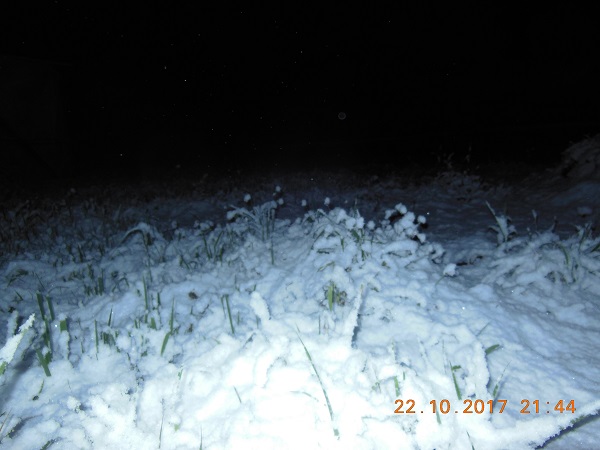 DSCN6680.JPG