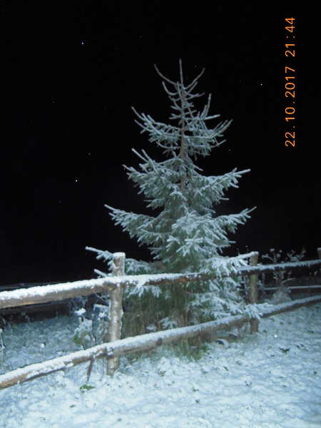 DSCN6681.JPG