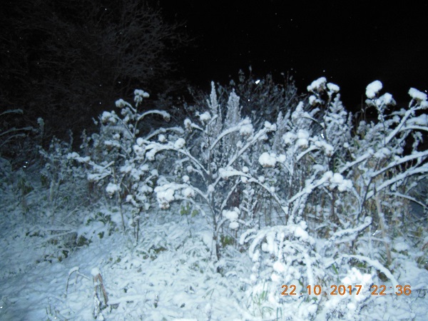 DSCN6684.JPG