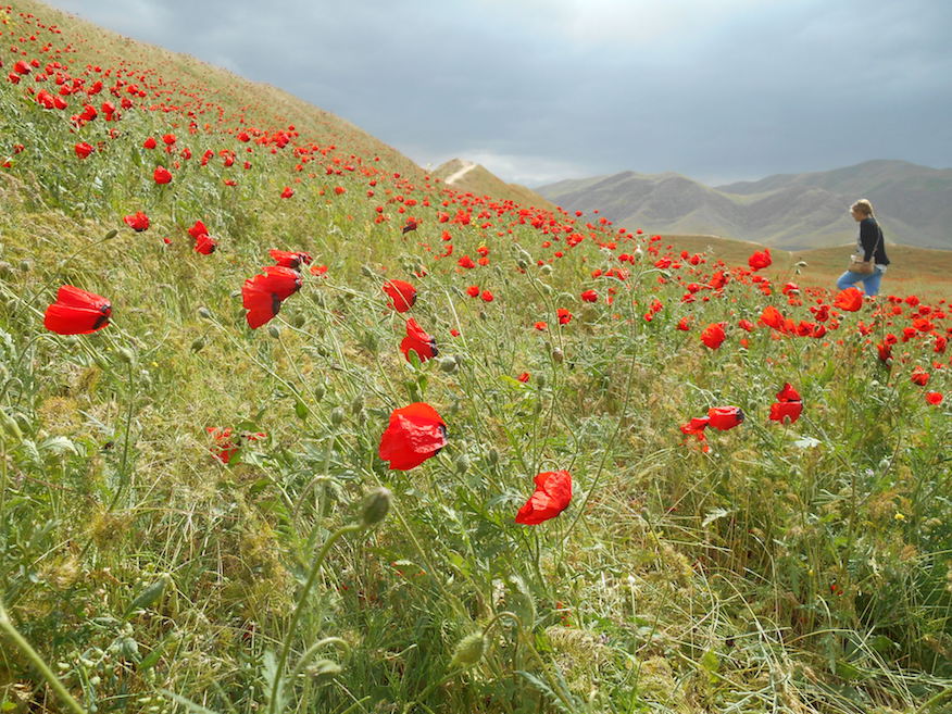 DSCN6730.JPG