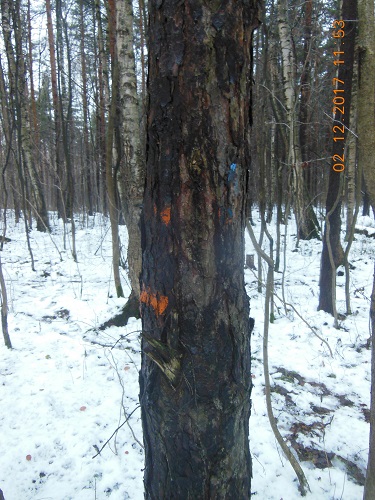 DSCN6918.JPG