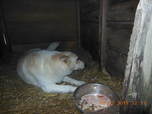 DSCN6971.JPG