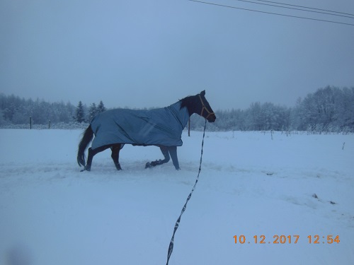 DSCN6976.JPG