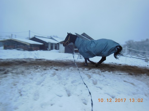 DSCN6985.JPG