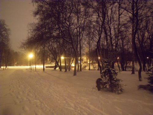 DSCN7011_1.jpg