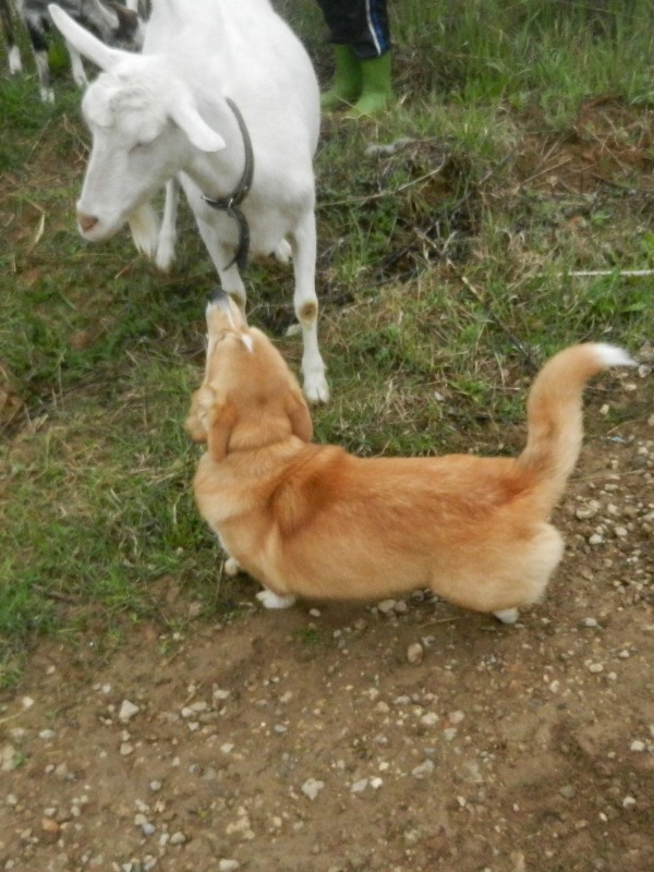 DSCN8013.JPG