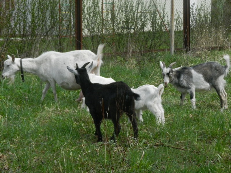 DSCN8073.JPG
