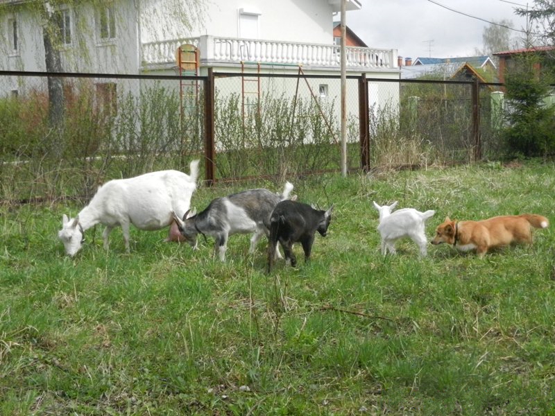 DSCN8074.JPG