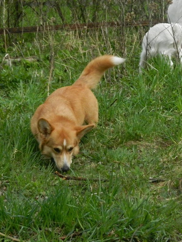 DSCN8077.JPG