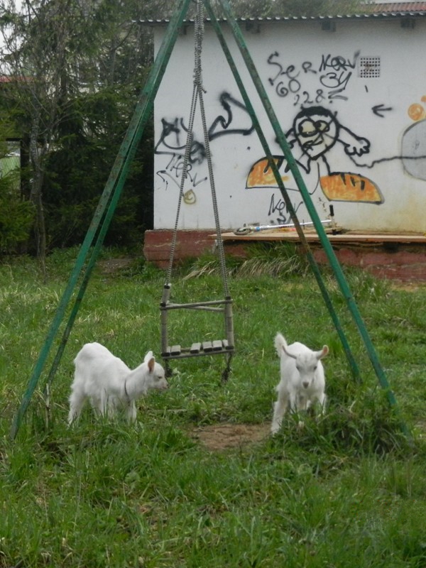 DSCN8083.JPG