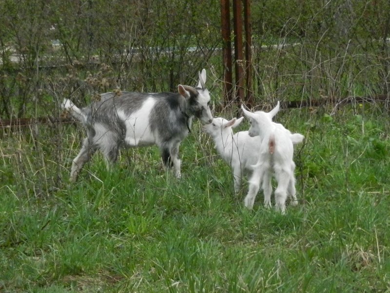 DSCN8084.JPG
