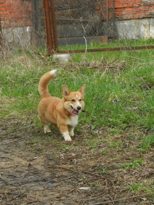 DSCN8093.JPG