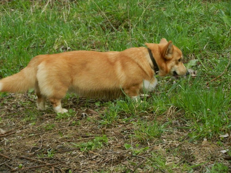 DSCN8094.JPG