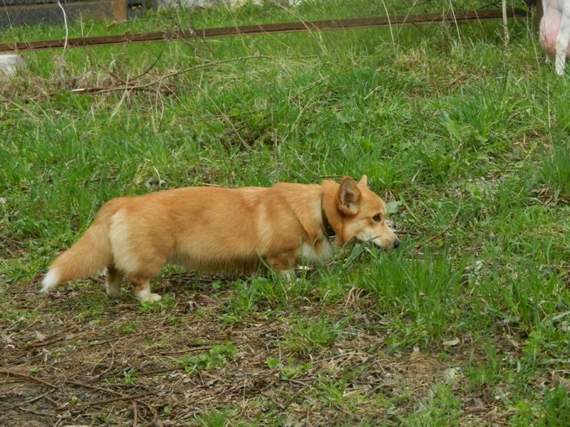 DSCN8095.JPG