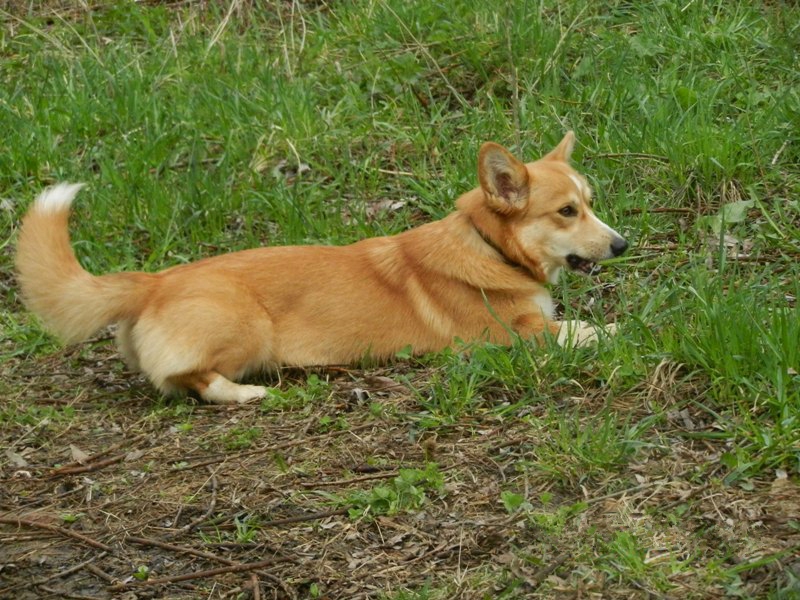 DSCN8097.JPG