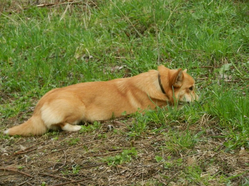 DSCN8098.JPG