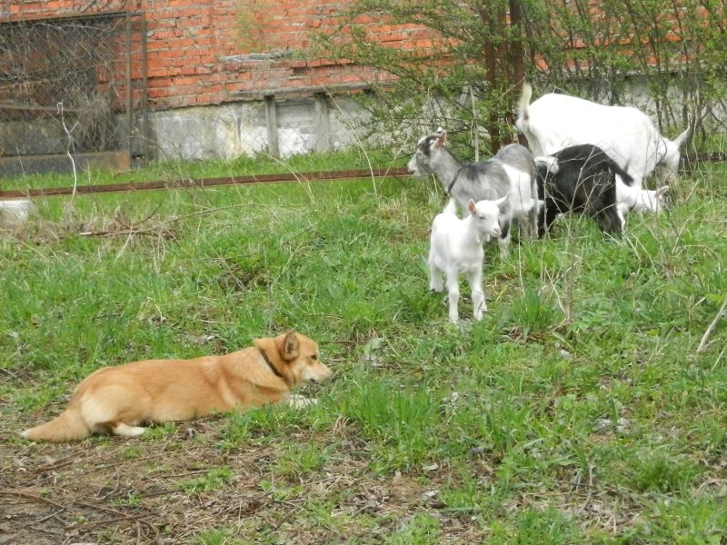 DSCN8099.JPG