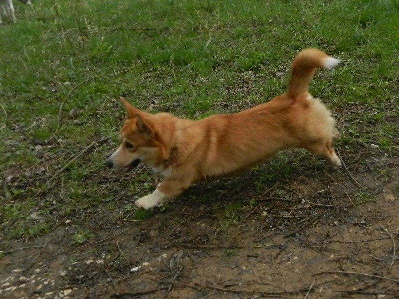 DSCN8109.JPG