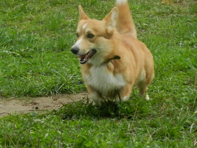 DSCN8116.JPG