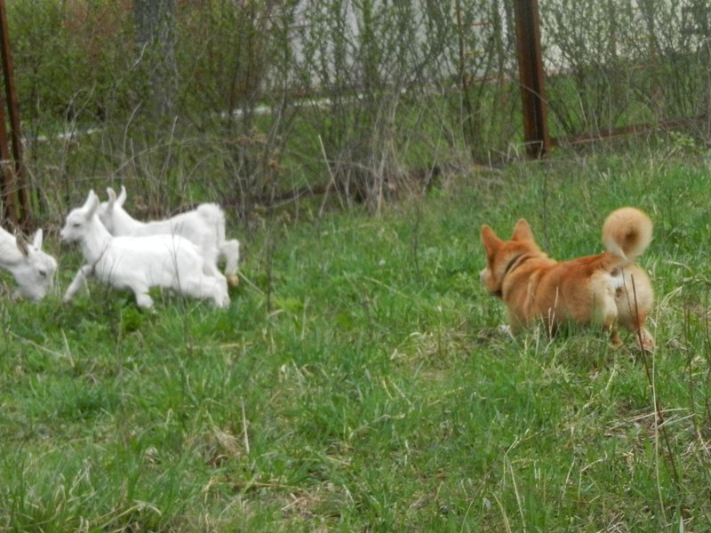 DSCN8118.JPG