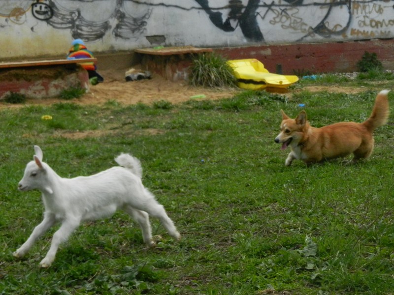 DSCN8122.JPG