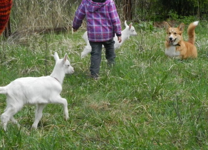 DSCN8136.JPG