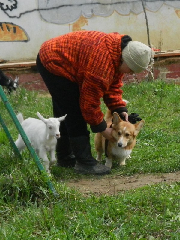 DSCN8137.JPG