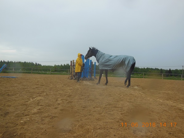 DSCN8158_3.jpg