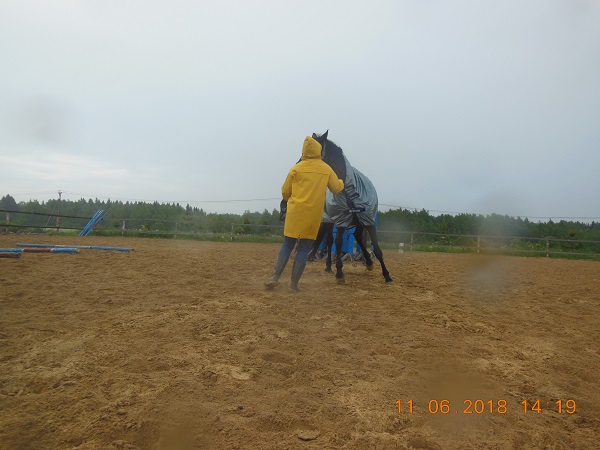 DSCN8160_5.jpg