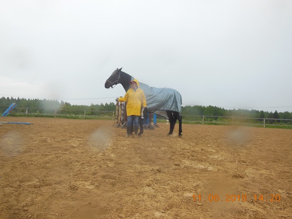 DSCN8162_7.jpg