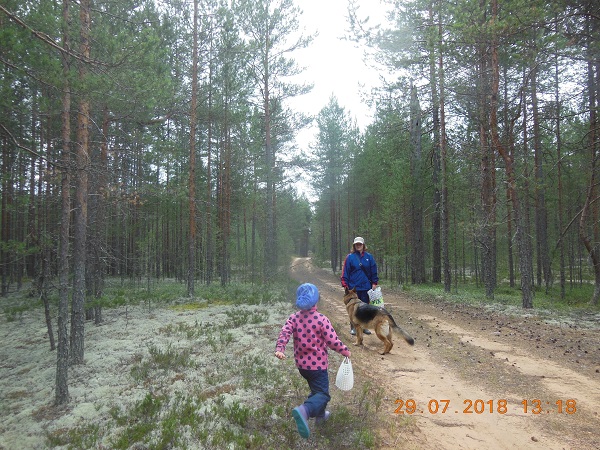 DSCN8638_1.jpg