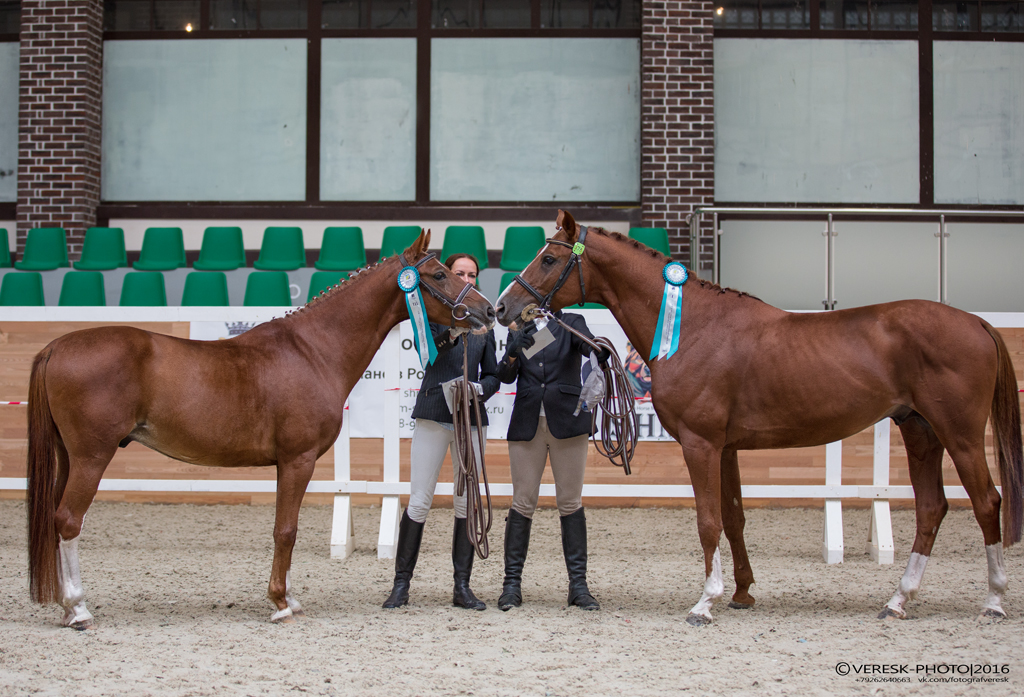 двойняшки на награждении.jpg