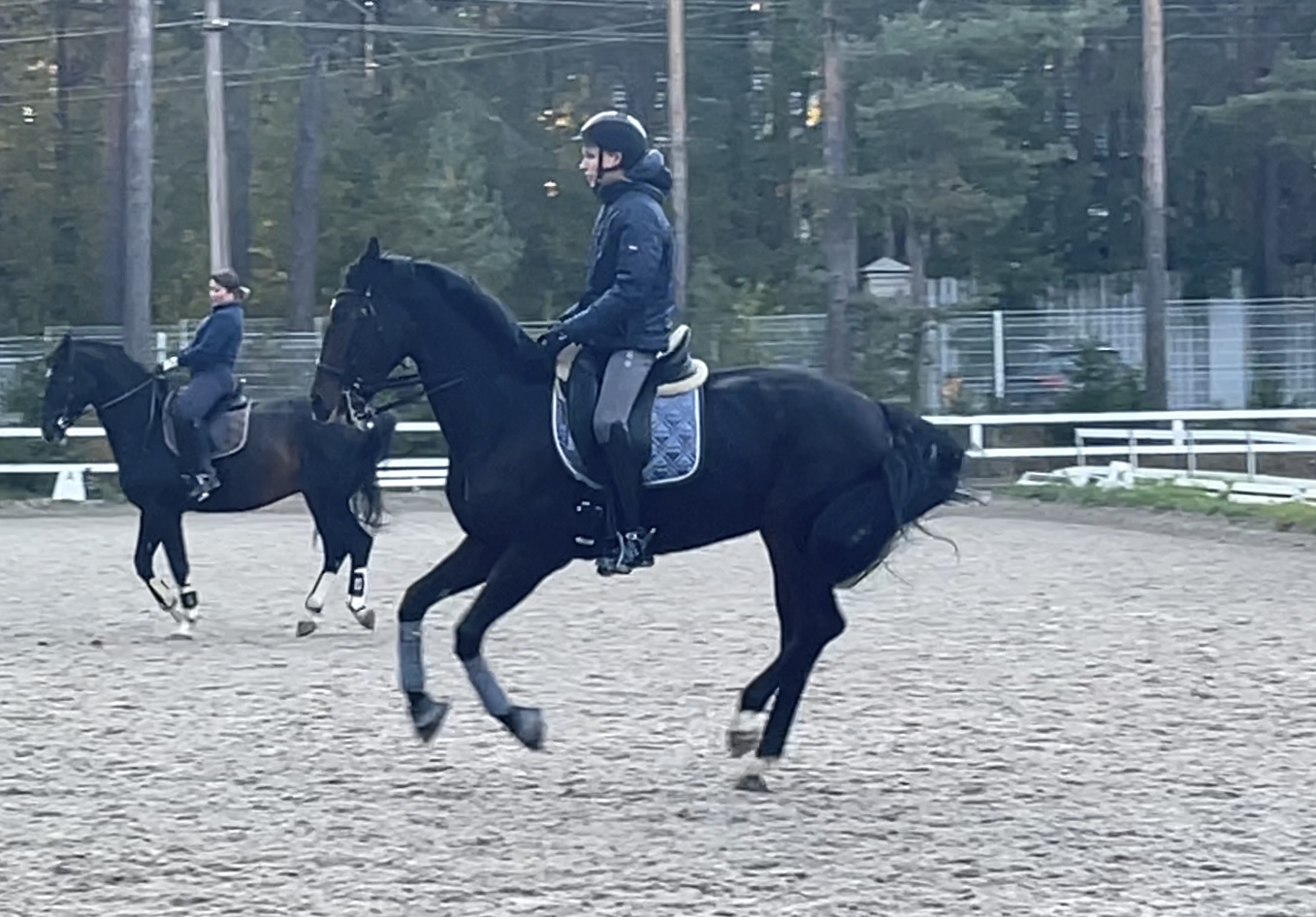 E0928900-865B-4E56-AE3A-4FEBECF654CE.jpeg