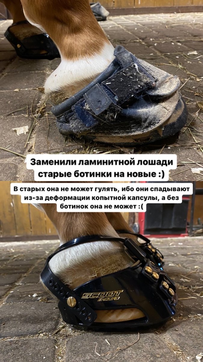 E336718E-F0BB-40E6-AC67-4F6BECCB0270.jpeg