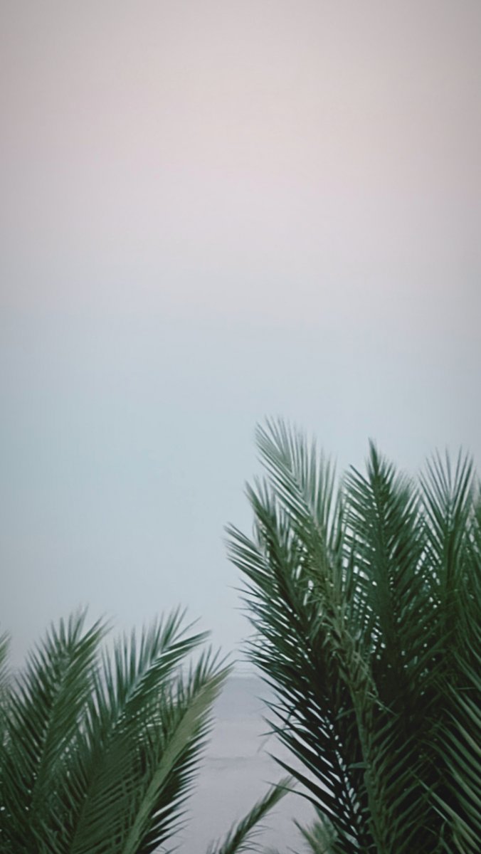 E3B203EF-C7FF-4E6E-BE56-908E2AEB26E6.jpeg