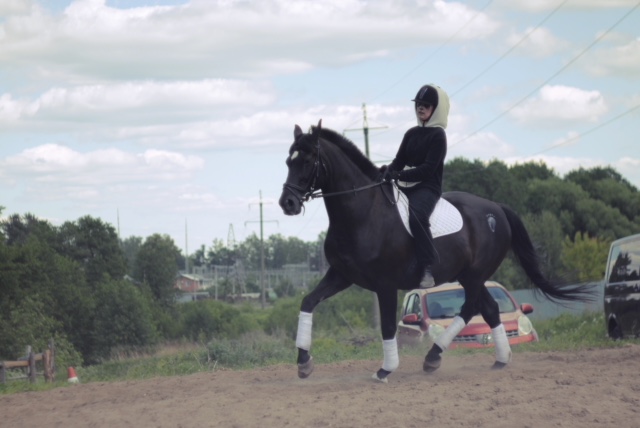 E79806BB-7C22-40D8-B735-FF7F7E515AEA.jpeg