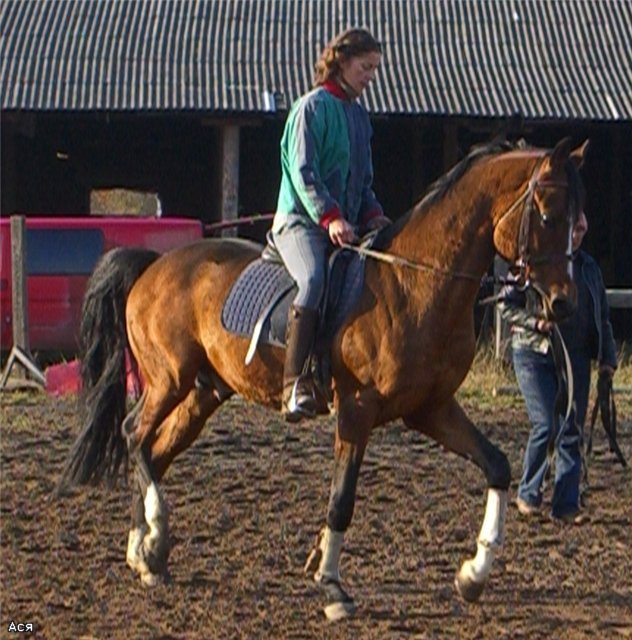 e83f1b164db9.jpg