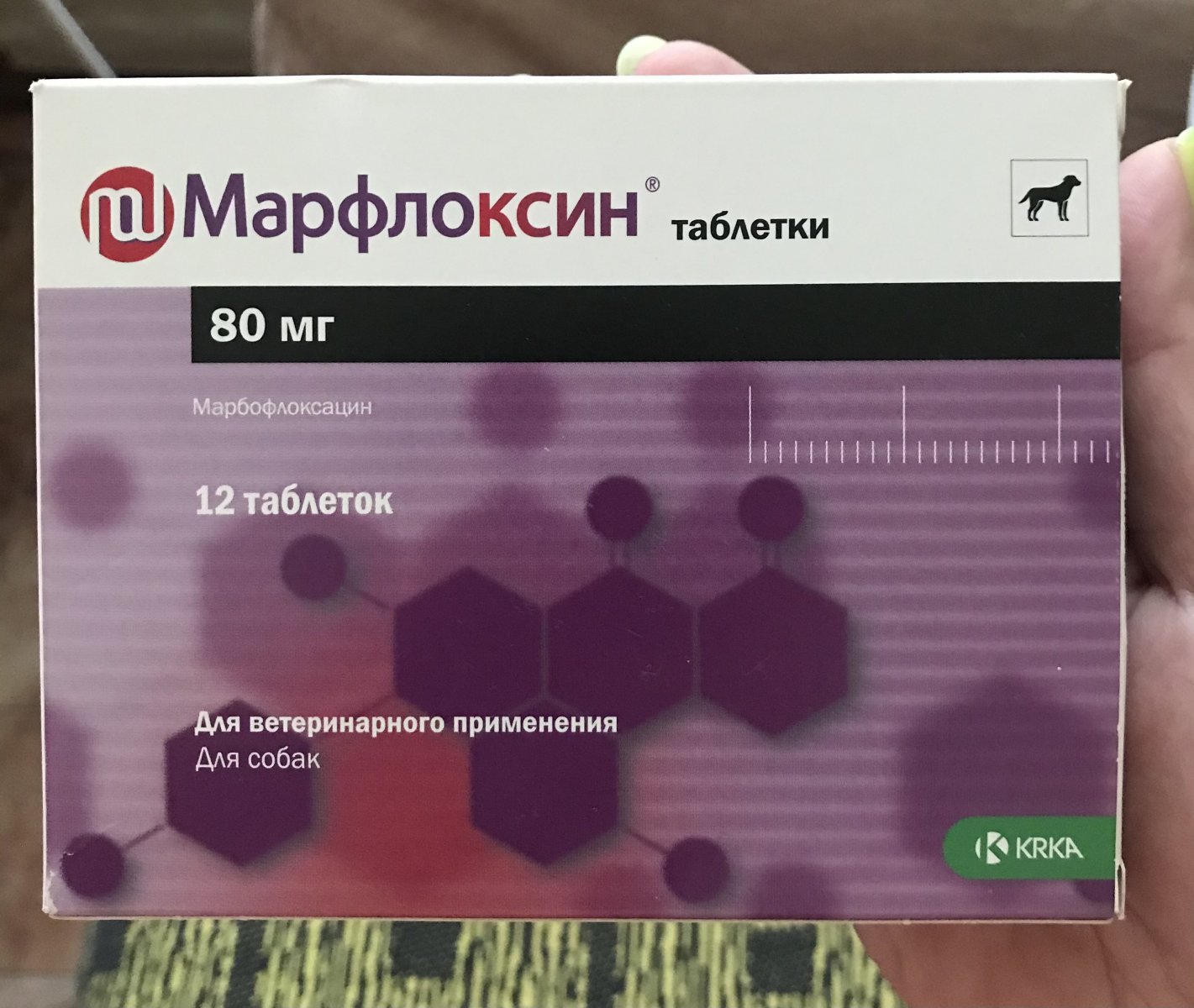E8FA1FDA-5B8E-4B53-A767-26C7C7EB5764.jpeg
