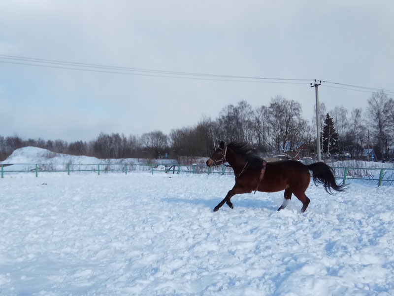 E_153858.jpg