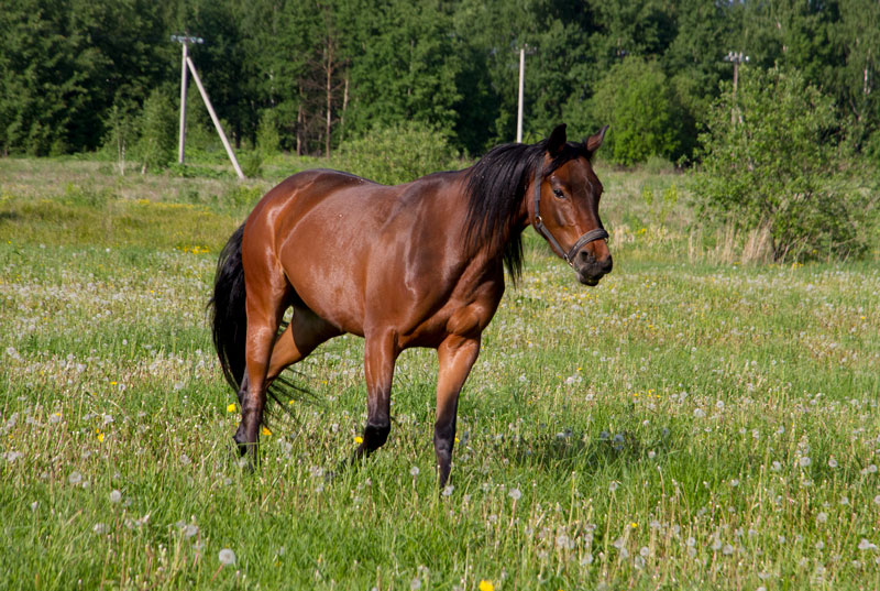 E_2278.jpg