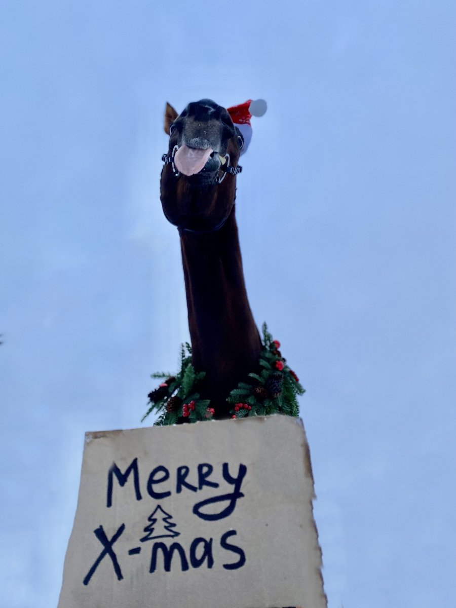 ED096C4A-302D-44C8-BC0E-391559AC47A1.jpeg