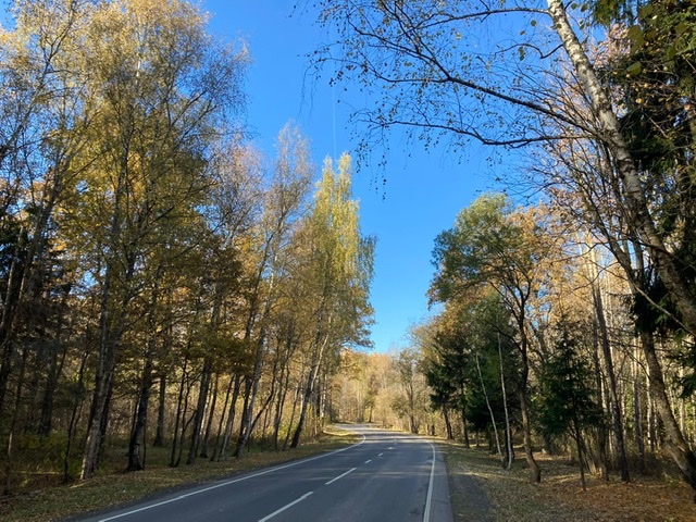 EF0903E9-2115-4BF5-ADA5-924E5144E93C.jpeg