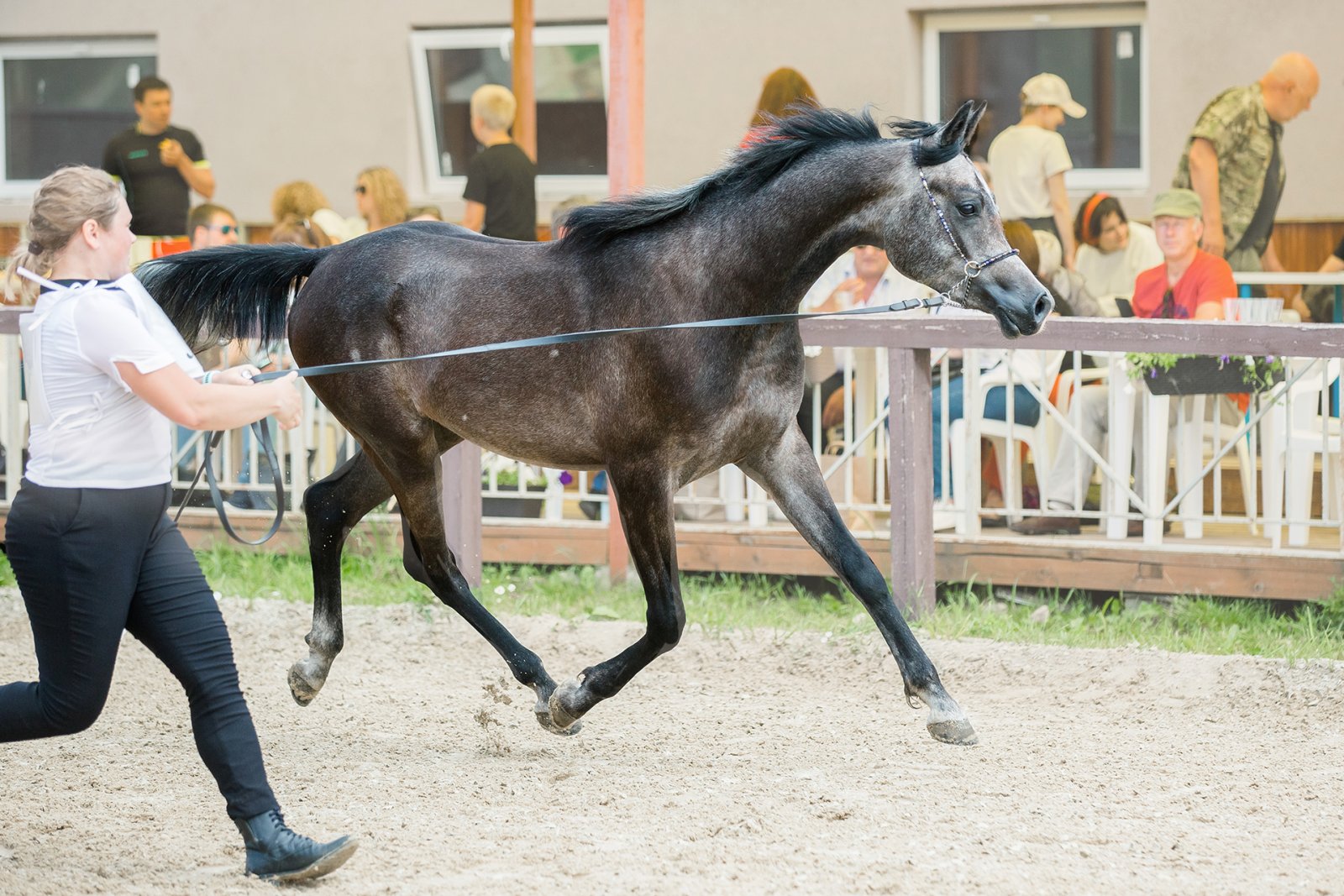 EF5A9019_1-.jpg