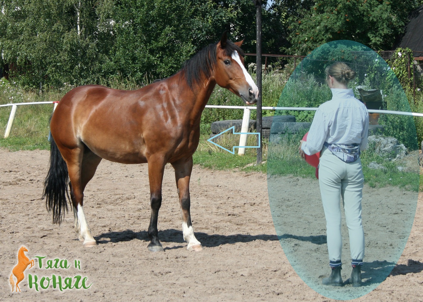 ehnergija-jpg.394546