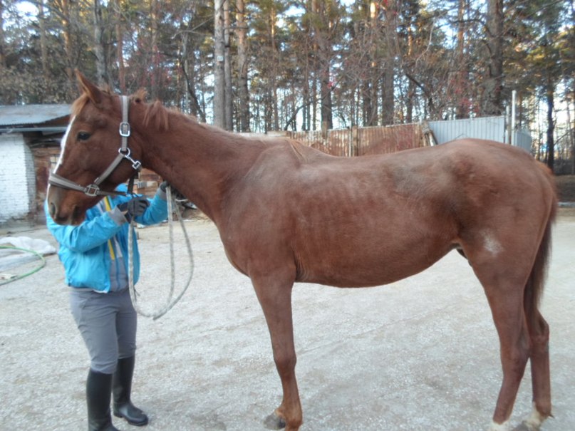 Этинсель по приезду.jpg