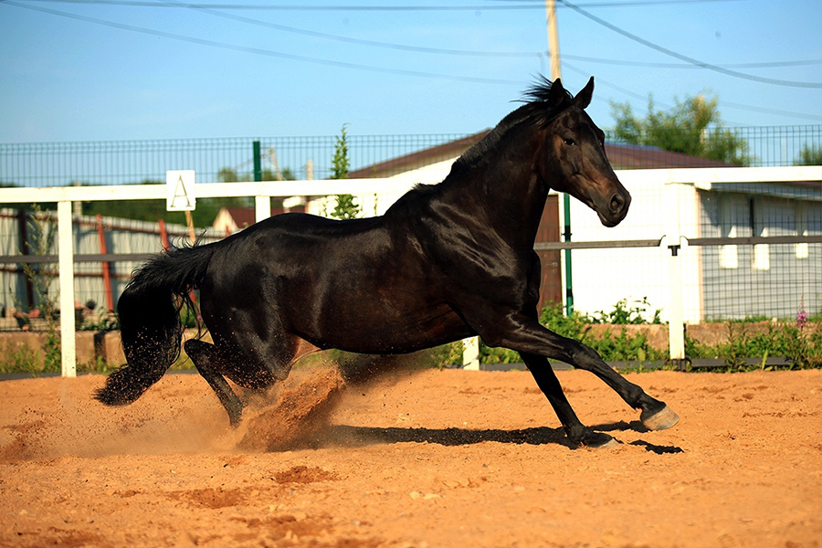 elfaNR2nXus.jpg