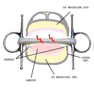 embouchure1.gif