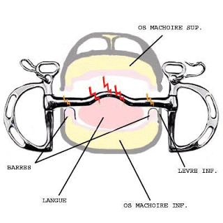 embouchure2.gif