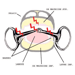 embouchure3.gif